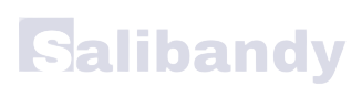 Salibandy logo