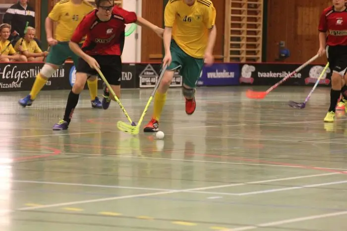 Salibandy, pelaajat pelaamassa